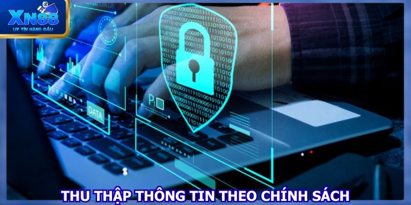 Các loại thông tin được nhà cái thu thập dựa trên chính sách bảo mật